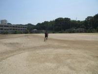 W800Q100_IMG_2828