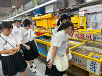 image2 (2)
